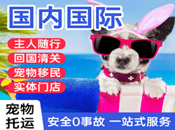 汉中城固机场邮寄国际宠物托运 【国